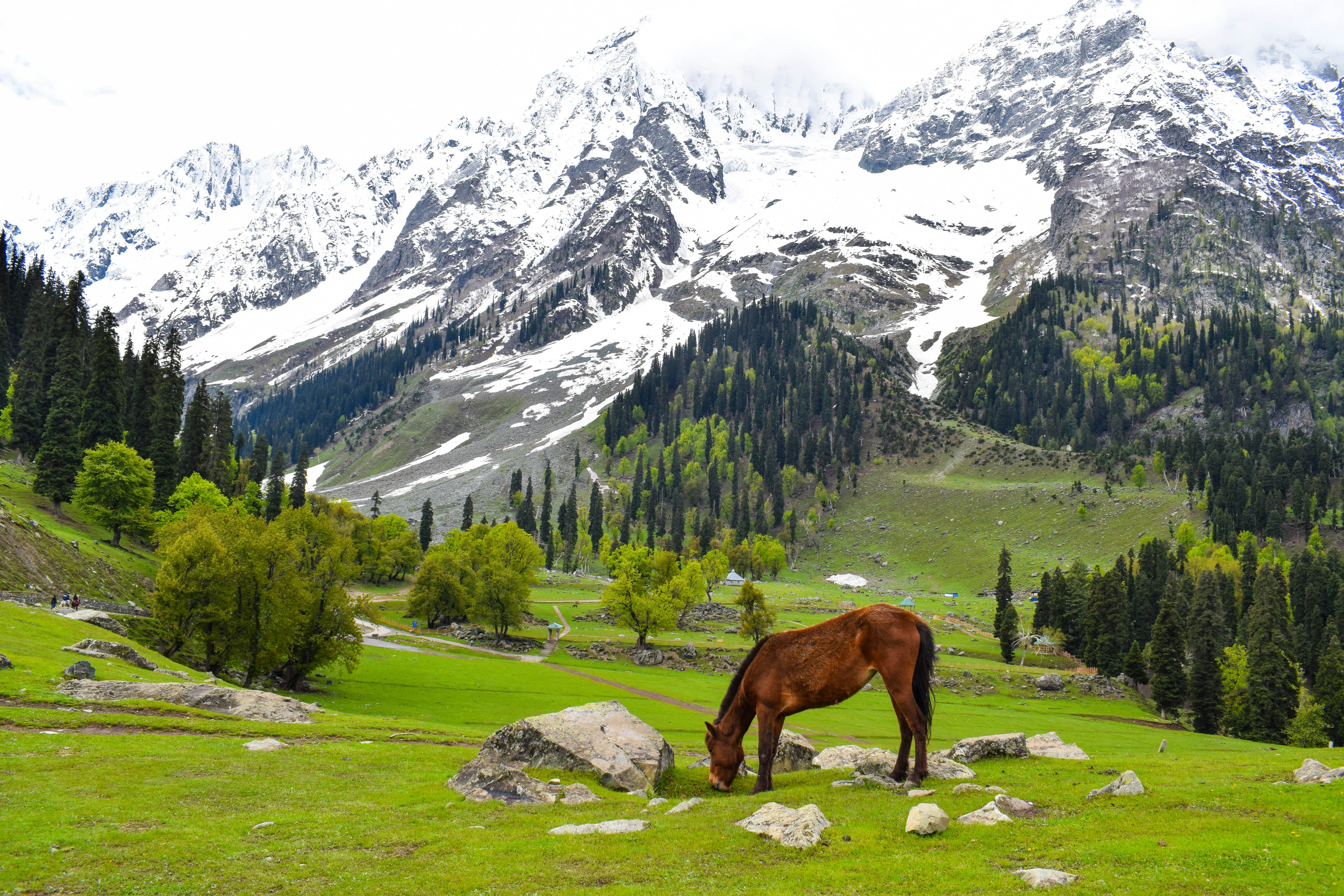 Kashmir scenery