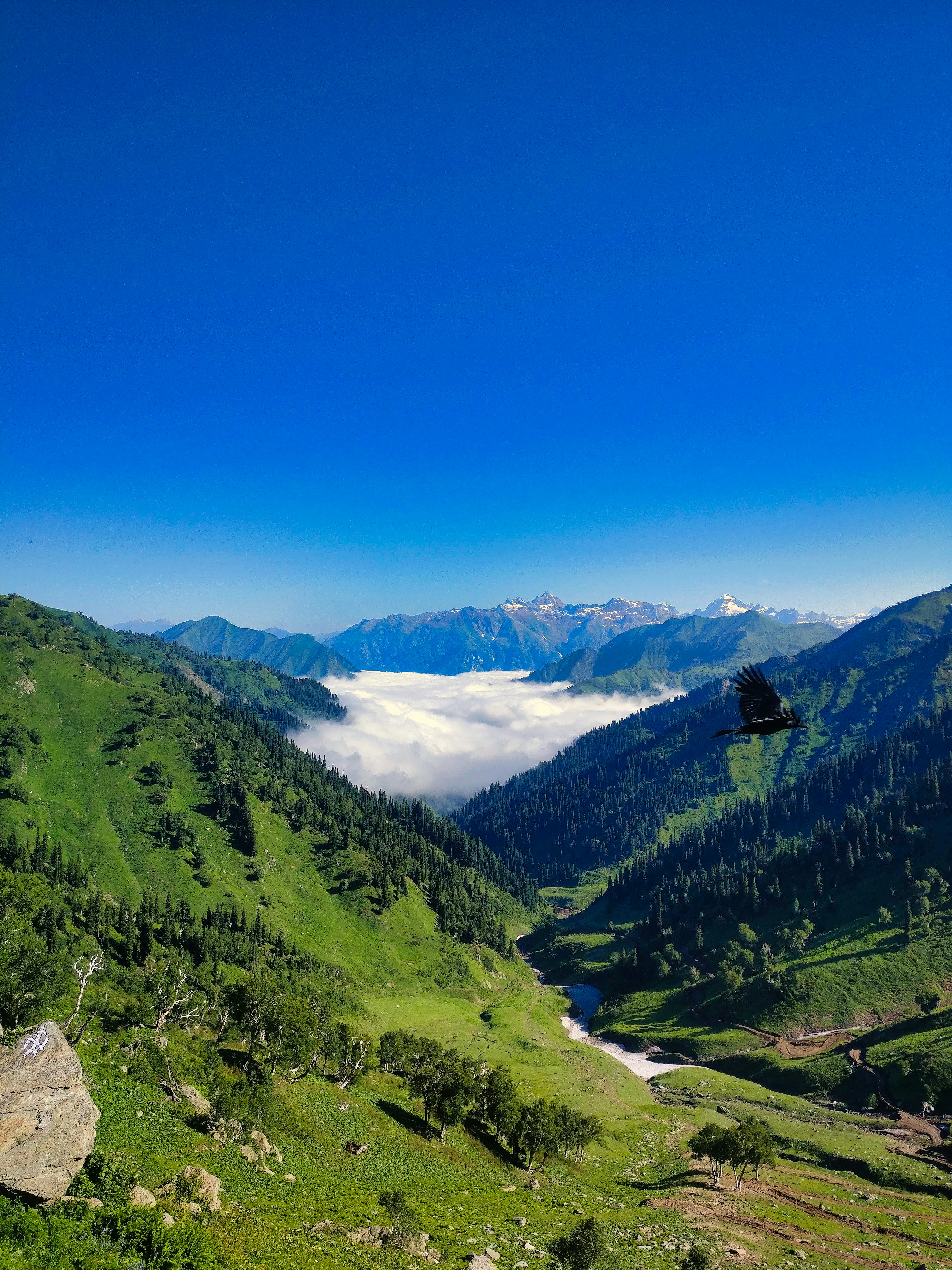 Kashmir scenery