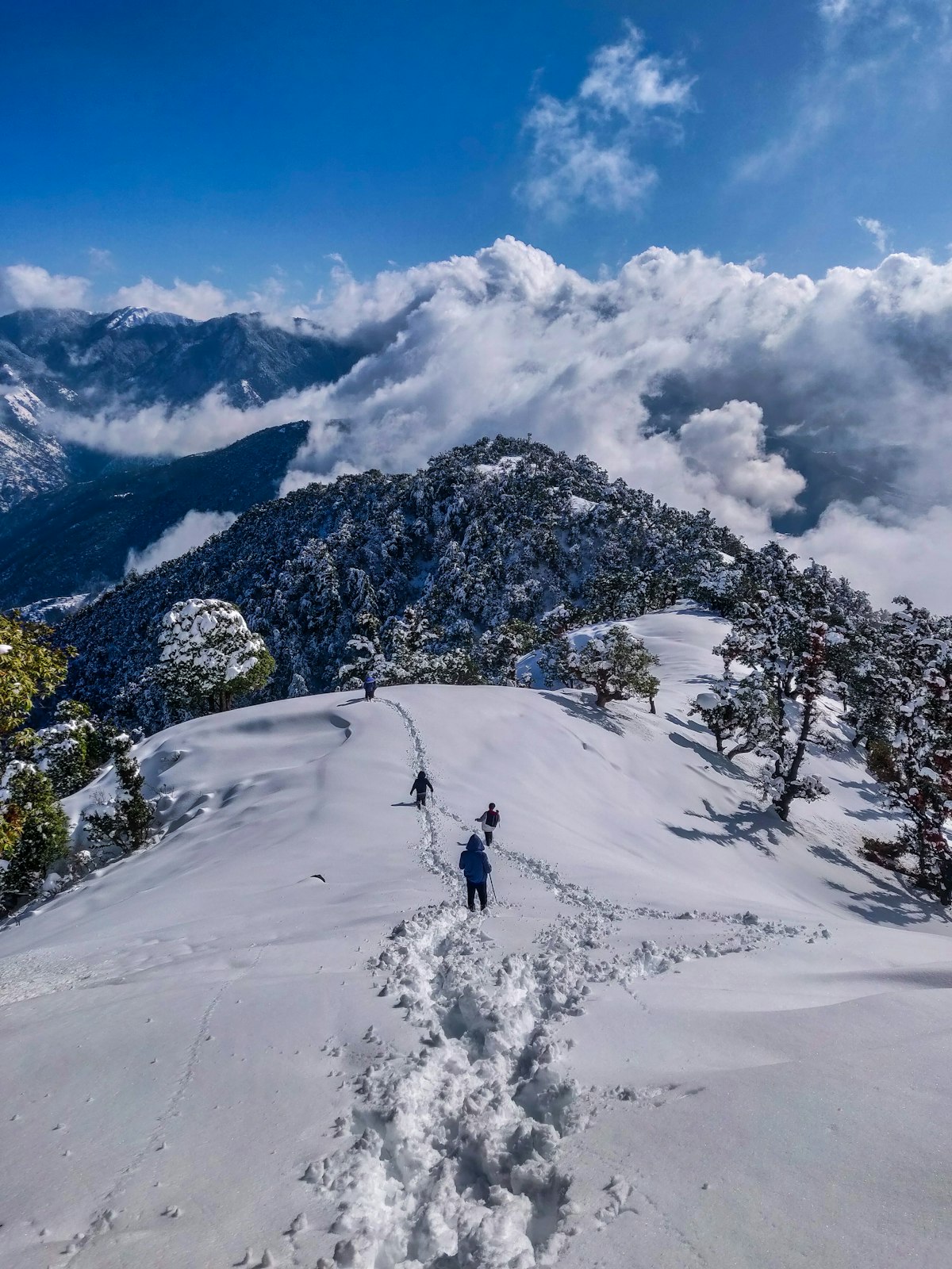 Himachal Tour